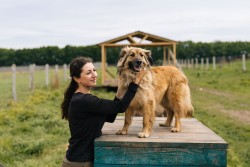 Support for the animal shelter ‘Awaken Your Heart’ in Zaporizhia.