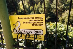 Про Happy Paw